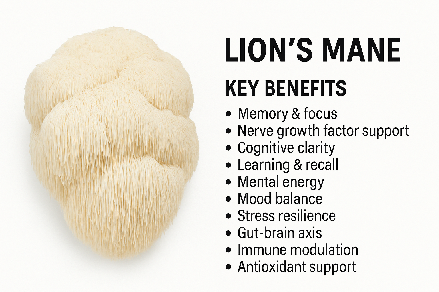 Lions Mane Max Strength Elixir